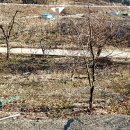 운산리축사 네이버블로그