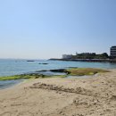 고성하얀나무집 이미지