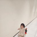 동탄 베이비하우스 유모카 르베르 스핀360 내돈내산 후기 (줄즈 에어플러스 거부! 장단점 솔직하게)