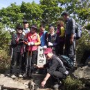 김삿갓면-0 이미지