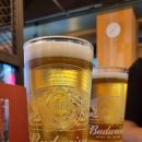 동양맥주 - 포항시 북구 장량로145번길 15 | 동양맥주