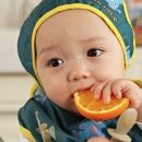 스튜디오끼니