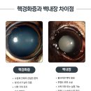 송파동물의료센터 이미지