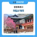 3M 사잇길 | 홍매화가 가득한 의림사 계곡