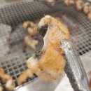 대전 장어 맛집 유천동 회식하기 좋은 풍천민물장어