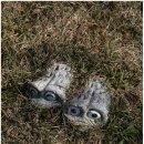 바닷가이솝아저씨네집 네이버블로그