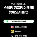 스텔라잉글리쉬까페 이미지