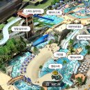 휘닉스 실외수영장 이미지