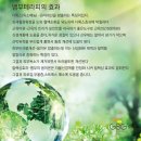 서윤피부샵