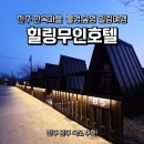 힐링무인호텔 | 전주완주숙박추천 - 몸만 가면 되는 힐링무인호텔! 불멍과 글라스방갈로 BBQ까지 완벽했던 재방문 후기
