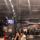 좌우대칭, 매트 필라테스 이미지