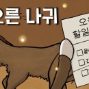 달빛이야기