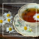 (주)신아하우징 태양광발전소 | [신설법인] 건설업 신설법인 2019. 08.30.~2019.09.05. 서울, 부산, 대구, 광주, 인천, 대전, 울산