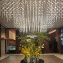 CU서판교점 | 더블트리힐튼 판교 -포레스트뷰 디럭스킹룸🌳🌳