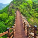 제393차 순창 무직산 6월 16일 화요일 이미지