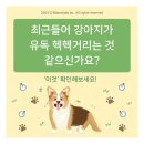 산본동물병원 이미지
