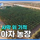 가장농장 이미지