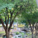 밀양아리랑대공원 화장실 이미지