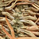 성이수산 이미지