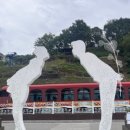 (주)하이원추추파크 이미지