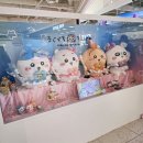 원더우맨트레이딩 | 용산 치이카와 매지컬 팝업 오픈 첫날 방문 후기