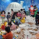 서부초등학교 이미지