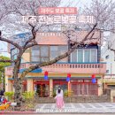 한라 태권도장 | 제주 벚꽃 명소 전농로 벚꽃축제 정보 실시간 개화