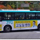 분당구청입구.수내교 이미지