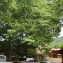 수철경로당 이미지