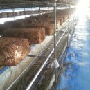 영세농장 이미지