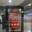 노재현 | [리뷰 ; 뮤지컬] 물랑루즈 관람 후기 - 프리쇼 시간, 좌석 시야 총정리 (260107)