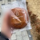 코리아유도체육관(181) | 라이트팬의 🍏 미세스 내한 일콘 🍏 실질1열 후기 | 고려대학교 화정체육관