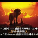 킹 (KING) 이미지