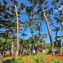 보경사 화장실 이미지