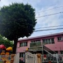 구립 아이솔 어린이집 이미지