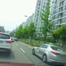 신일장미아파트 이미지