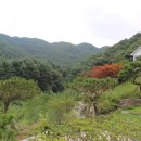 용문산마을 이미지