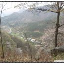 용기네 농장 이미지