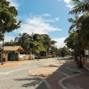 안동롤러경기장 | [졸업 배낭여행] 미국 마이애미 3박 4일(1)_베이사이드,리틀하바나,카세야 센터,디자인 디스트릭트