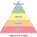 행복한 삶을 지속하기 위한 10가지 요소 | 독서 후기_마흔에 읽는 쇼펜하우어