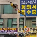 다숲 이미지