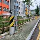 대구상원초등학교 이미지