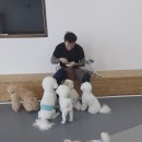 아카데미유치원 이미지