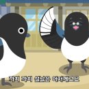 까치인력 이미지