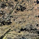 더벤티김천덕곡점 이미지