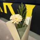129언더더스타즈헤어