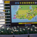 선도보건진료소 이미지