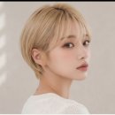 성신여대 미용실 추천, 인생 첫 숏컷 실패 없는 금발 염색 코토리베이지 후기