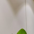 밝은서울정신건강의학과의원 이미지