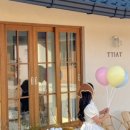 스테이 띠앗 이미지